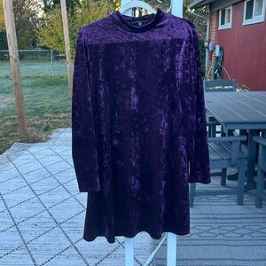 Tiana B size 12 knee length dress. Velvet feel.